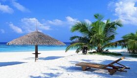 image-47